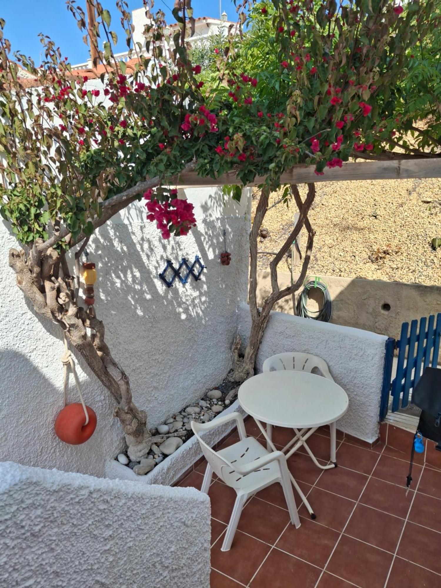 Bungalow CASIOPEA Internet 300 Mb SAT SMARTTV El Campello Exterior foto